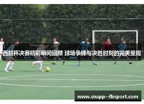 西超杯决赛精彩瞬间回顾 球场争锋与决胜时刻的完美呈现