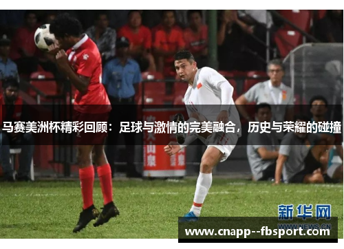 马赛美洲杯精彩回顾：足球与激情的完美融合，历史与荣耀的碰撞