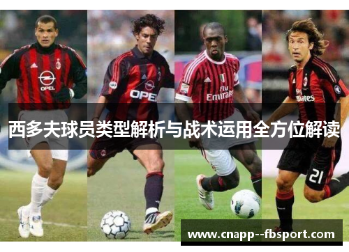 西多夫球员类型解析与战术运用全方位解读