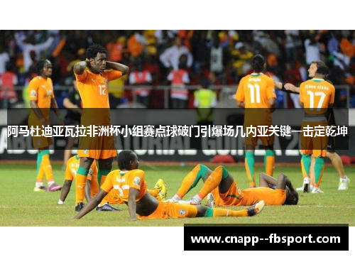 阿马杜迪亚瓦拉非洲杯小组赛点球破门引爆场几内亚关键一击定乾坤